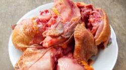 Цесарка: рецепты приготовления деликатесной птицы в духовке в рукаве Как приготовить цесарку с томатной пастой