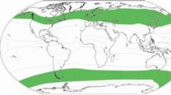 Тематические (почвенно-экологические) карты Аридный климат умеренных широт