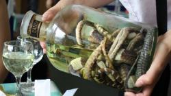 Китайская и вьетнамская водка со змеей — в чем разница и какая лучше Алкоголь со змеей в бутылке