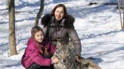 Семья из белоруссии держит стаю волков в качестве домашних животных Содержание волка дома